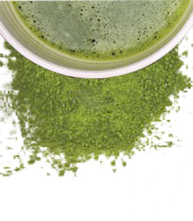 Supreme Matcha
